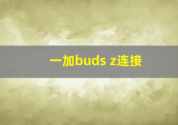 一加buds z连接